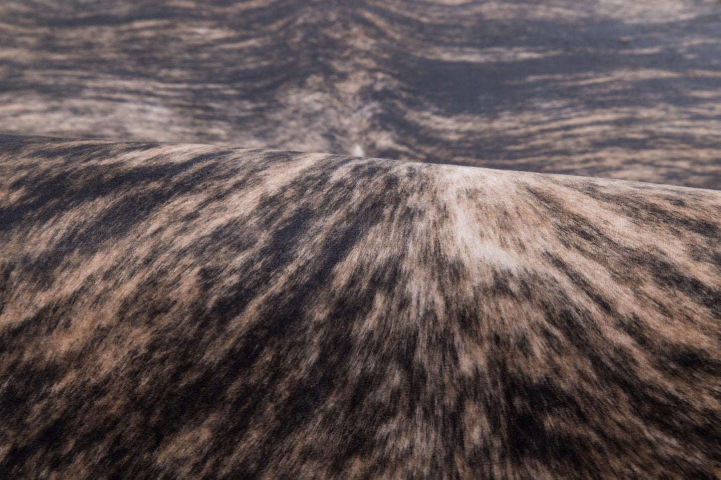 Asimi Rug Collection