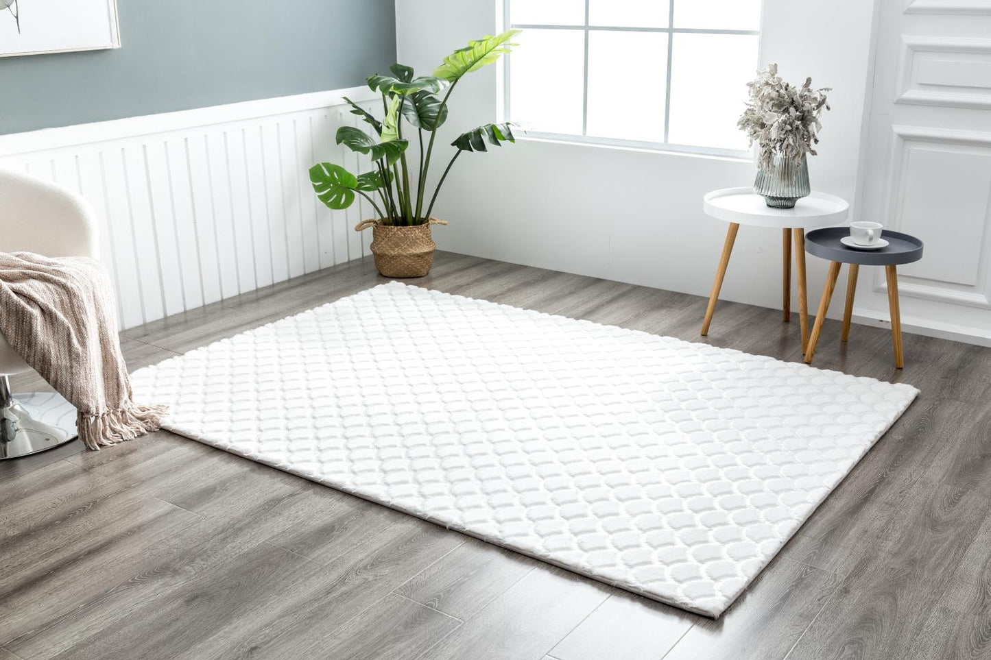 Chryso Rug Collection (CH08)