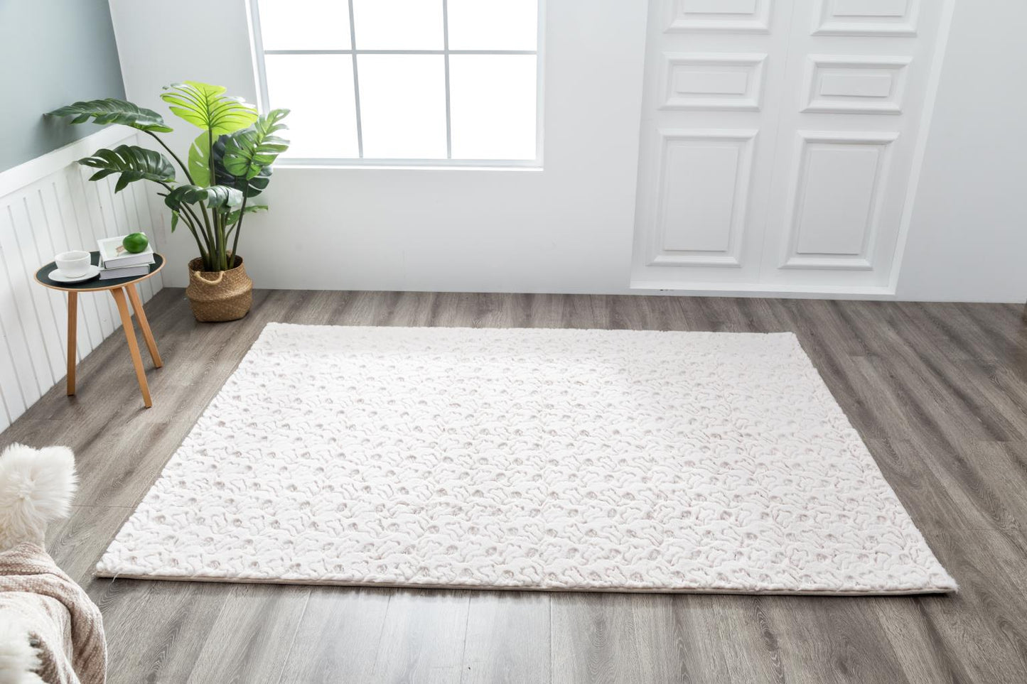 Chryso Rug Collection (CH011)